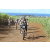 Team 74 / Jour 4 - VTT