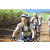 Team 74 / Jour 4 - VTT