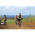 Team 72 / Jour 4 - VTT