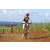 Team 72 / Jour 4 - VTT