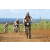 Team 75 / Jour 4 - VTT