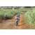 Team 80 / Jour 4 - VTT