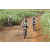 Team 80 / Jour 4 - VTT