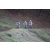 Team 17 / Jour 4 - VTT