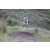 Team 17 / Jour 4 - VTT