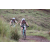 Team 24 / Jour 4 - VTT