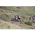 Team 06 / Jour 4 - VTT