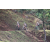 Team 07 / Jour 4 - VTT