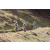 Team 07 / Jour 4 - VTT