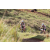 Team 07 / Jour 4 - VTT