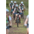 Team 36 / Jour 4 - VTT