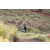 Team 66 / Jour 4 - VTT