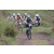 Team 63 / Jour 4 - VTT