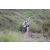 Team 56 / Jour 4 - VTT