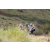 Team 55 / Jour 4 - VTT