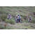 Team 75 / Jour 4 - VTT