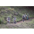 Team 72 / Jour 4 - VTT
