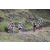 Team 41 / Jour 4 - VTT