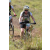 Team 26 / Jour 4 - VTT