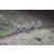 Team 40 / Jour 4 - VTT