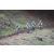 Team 40 / Jour 4 - VTT