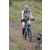 Team 40 / Jour 4 - VTT