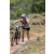 Team 56 / Jour 4 - VTT