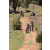 Team 57 / Jour 4 - VTT