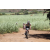 Team 42 / Jour 4 - VTT