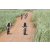 Team 24 / Jour 4 - VTT