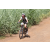 Team 47 / Jour 4 - VTT