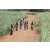 Team 29 / Jour 4 - VTT
