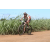 Team 46 / Jour 4 - VTT