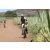 Team 34 / Jour 4 - VTT