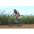Team 34 / Jour 4 - VTT