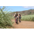 Team 66 / Jour 4 - VTT
