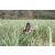 Team 14 / Jour 4 - VTT
