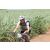 Team 18 / Jour 4 - VTT