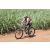 Team 19 / Jour 4 - VTT