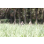 Team 13 / Jour 4 - VTT
