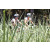 Team 13 / Jour 4 - VTT