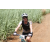 Team 48 / Jour 4 - VTT