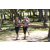 Team 74 / Jour 4 - VTT