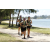 Team 27 / Jour 4 - VTT