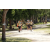 Team 46 / Jour 4 - VTT