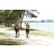 Team 74 / Jour 4 - VTT