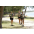 Team 07 / Jour 4 - VTT