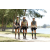 Team 63 / Jour 4 - VTT
