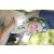 Team 76 / Jour 4 - VTT