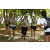 Team 55 / Jour 4 - VTT
